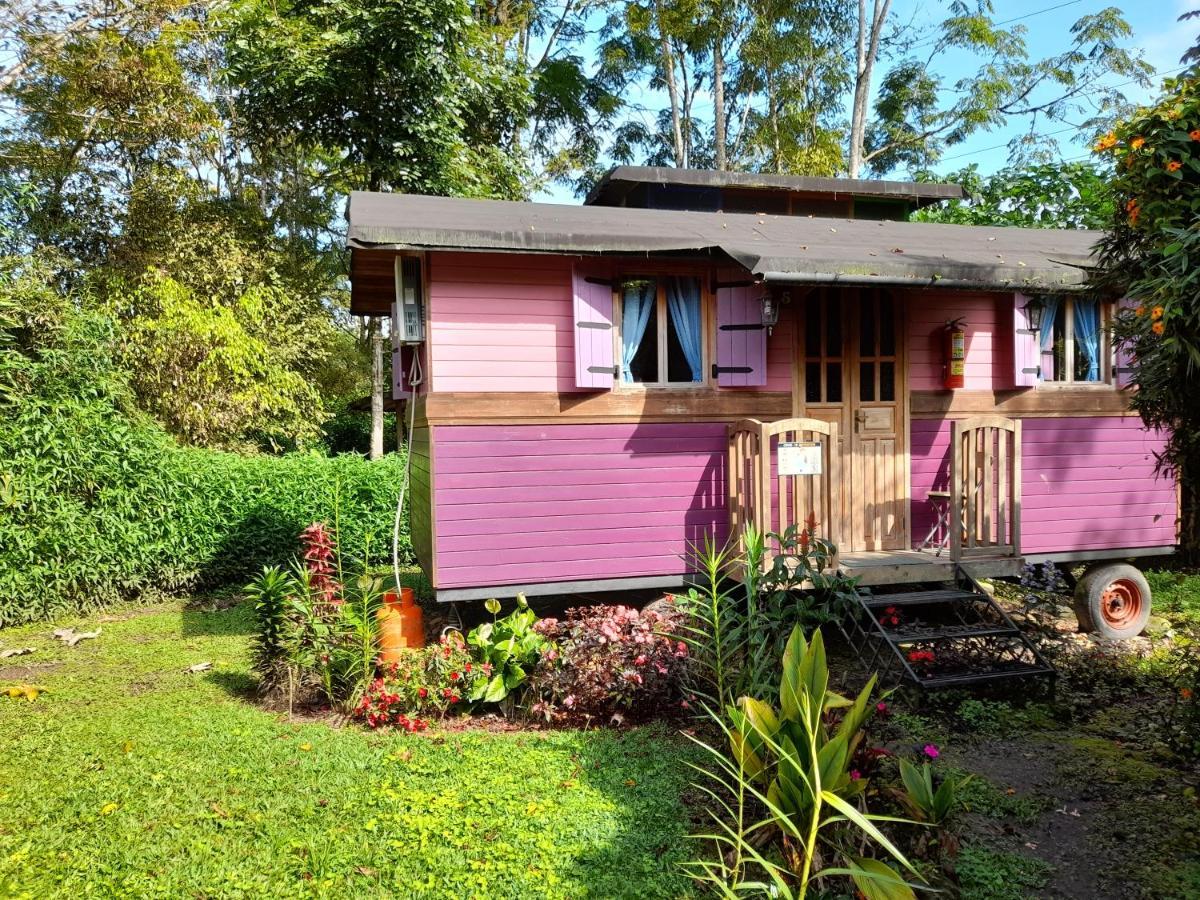 Hosteria La Roulotte - Mindo Exteriör bild