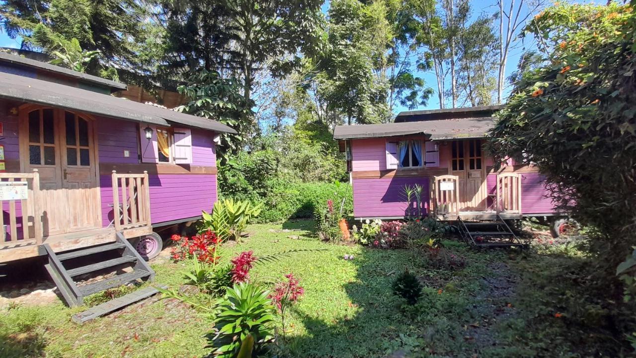 Hosteria La Roulotte - Mindo Exteriör bild