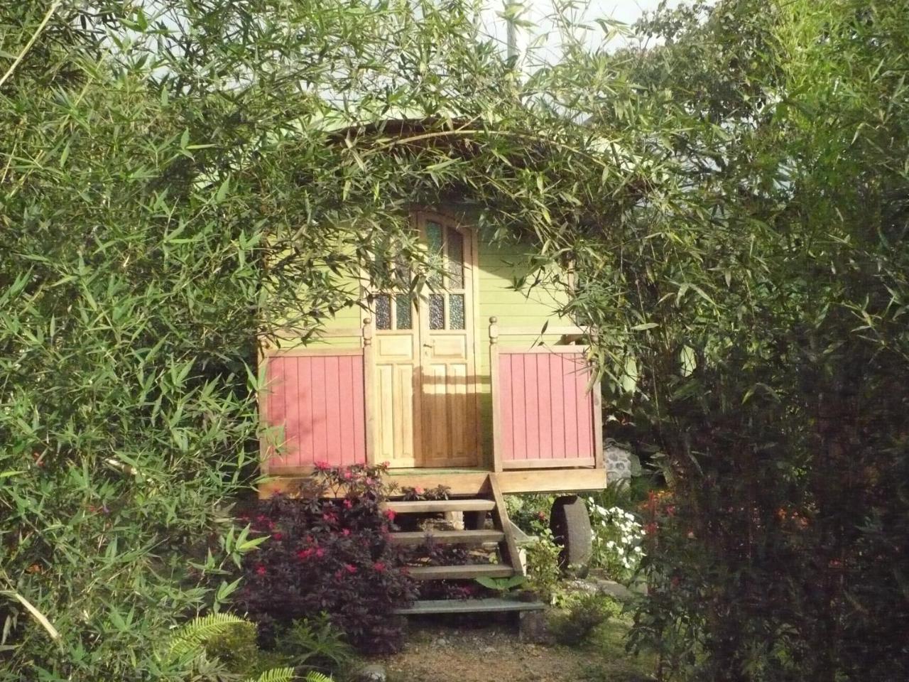 Hosteria La Roulotte - Mindo Exteriör bild